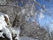 31 E ci godiamo la neve cadere in testa 